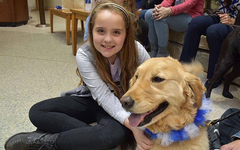henry ford west bloomfield hospital pet therapy dogs 1