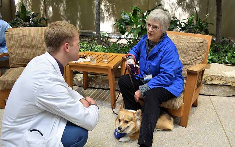 henry ford west bloomfield hospital pet therapy dogs 6
