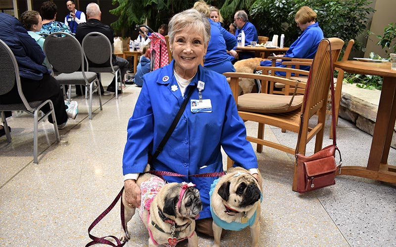 henry ford west bloomfield hospital pet therapy dogs 7