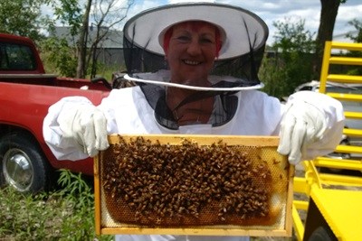 Sherry Miller Bees 