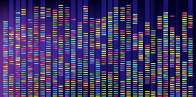 gene mapping asthma study