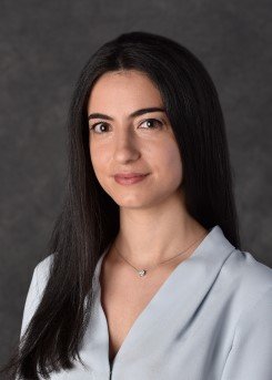 Henry Ford internist, Sana Chams, MD