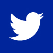 Twitter Icon